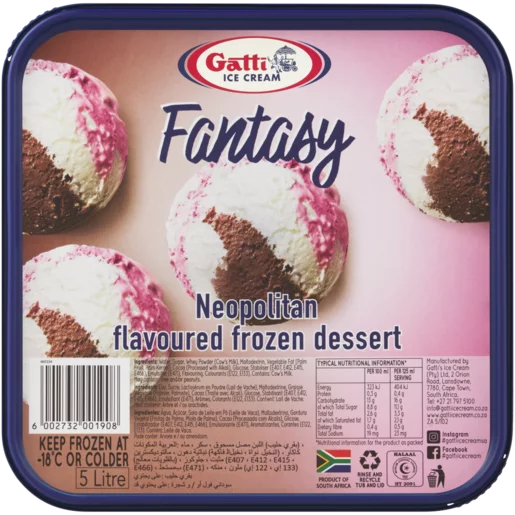 Gatti Ice Cream Neopolitan Ice Cream Tub 5L