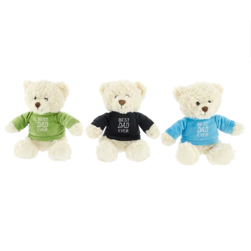Plush Bear with Dad T-Shirt 24cm (Colour May Vary)